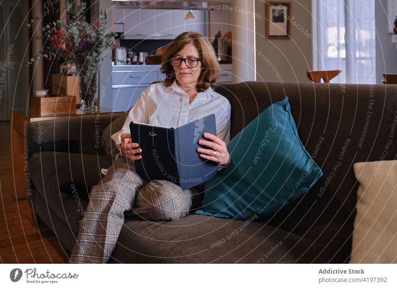Focused senior woman browsing tablet on couch read e book elderly living room hobby female eyeglasses sofa gadget device internet online surfing digital