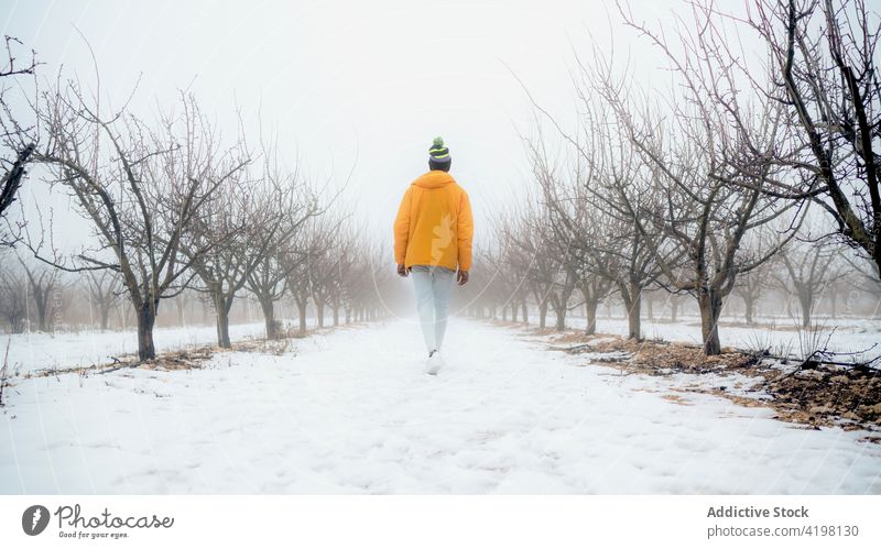 Man walking in snowy park with leafless trees man winter frost path cold nature haze outerwear warm clothes frozen pathway footpath stroll walkway wintertime