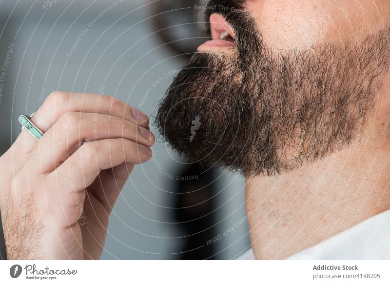 Crop brutal man touching beard in barbershop touch beard hipster masculine macho virile mouth opened hairdressing salon fluffy accuracy accessory expensive ring