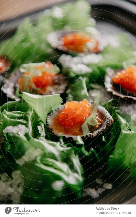 Set of oysters with salmon caviar in restaurant shell seaweed salt exquisite seafood delicatessen gourmet marine exotic seashell delicious delicacy fresh