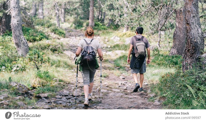 Unrecognizable couple of hikers trekking on mountains landscapes stroll path vacation route nature trip pole summer together partner rough pathway travel