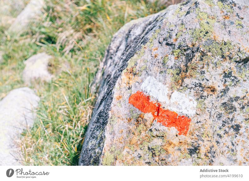 Rough stone with painted Polish flag on grass boulder nature national courage purity patriotism peace symbol strength rough dry poland culture tradition uneven