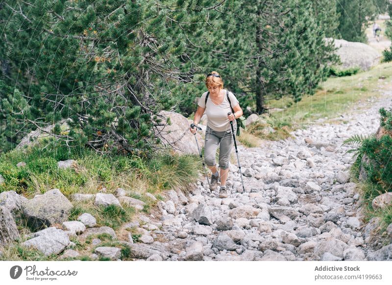Active woman walking with poles on stony hill slope pole walking active path energy trekking nordic walking physical concentrate tourism focus ruda valley adult