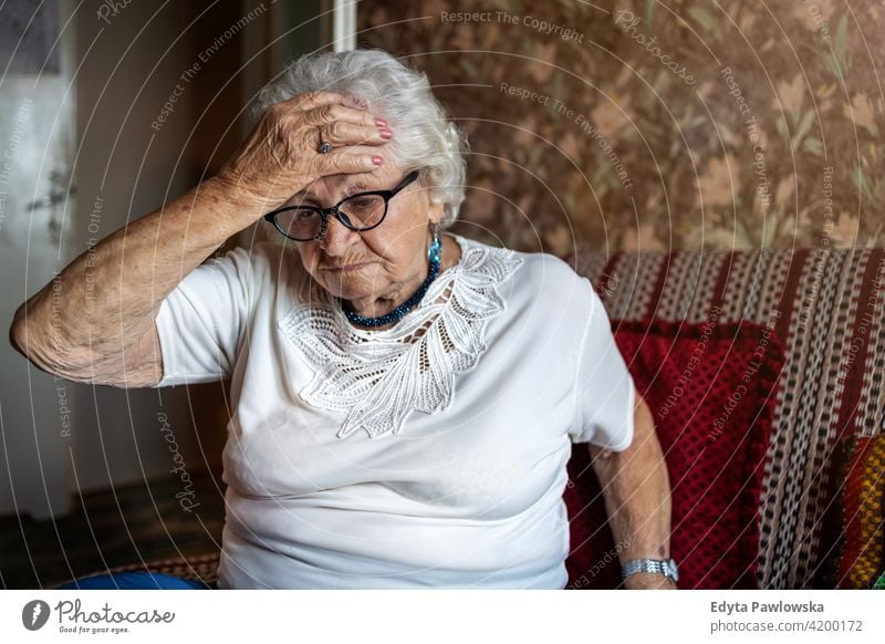 Portrait of an elderly woman in a state of worry at home eople senior mature casual female Caucasian house old aging domestic life grandmother pensioner