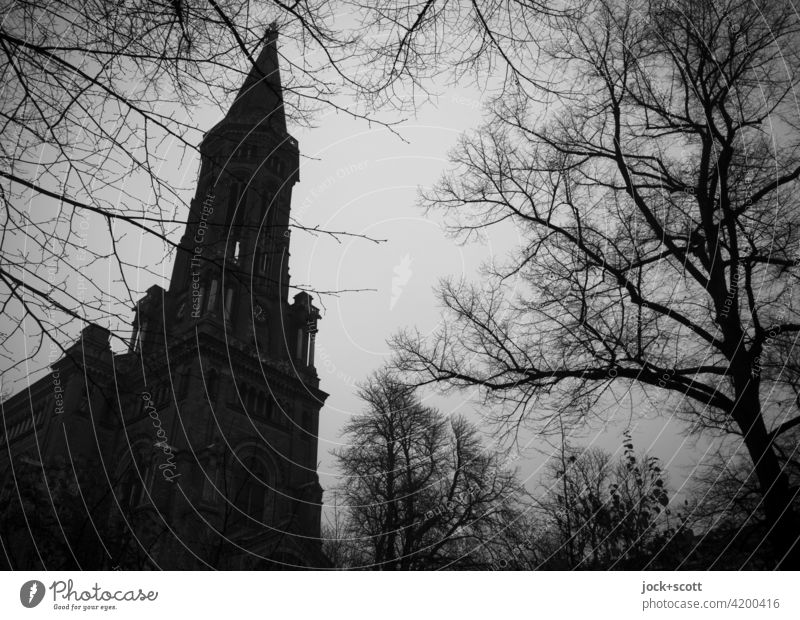 Winter day at the Zion church Zion Church Downtown Berlin bare trees Silhouette grey sky Back-light Architecture Structures and shapes Shadow somber Gloomy