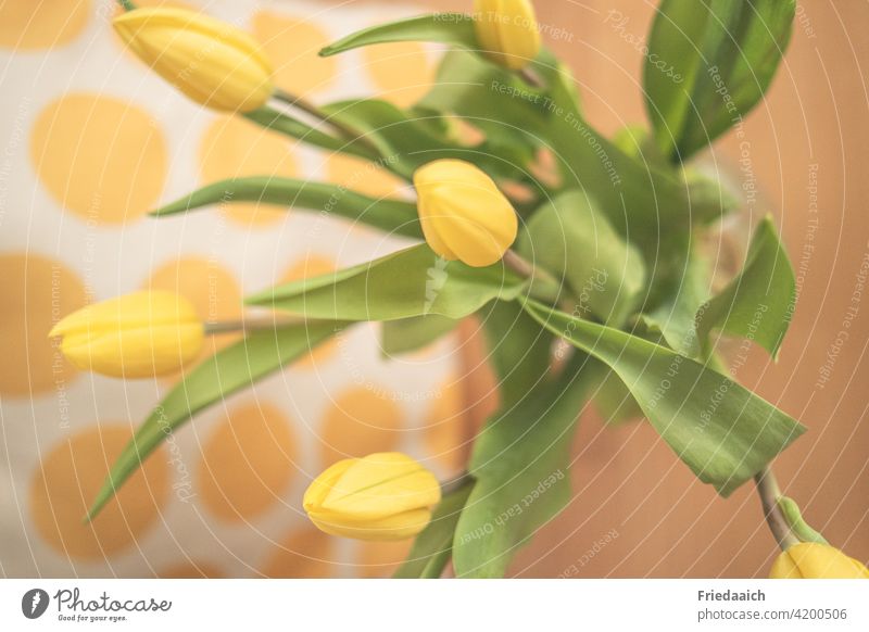 Yellow tulip bouquet on wooden table and yellow spotted background from above tulips Bouquet Spring Decoration Colour photo Blossoming Flower Interior shot