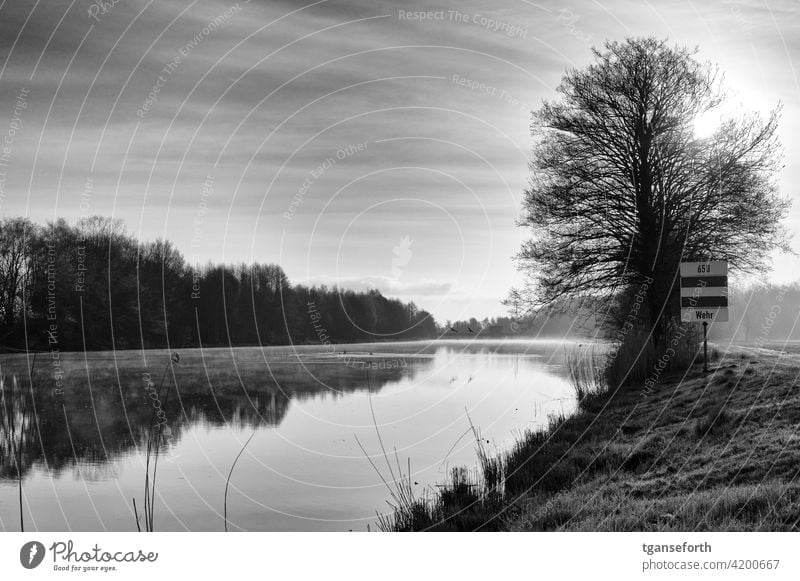On the Ems in the morning Water Morning morning mood Dawn Morning fog Landscape Deserted Calm Exterior shot Romance Nature Emsland Sadness Idyll Moody River