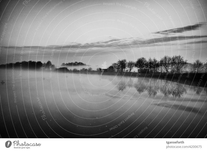 Fog on the Ems in the morning Water Morning morning mood Dawn Morning fog Landscape Deserted Calm Exterior shot Romance Nature Emsland Sadness Idyll Moody River