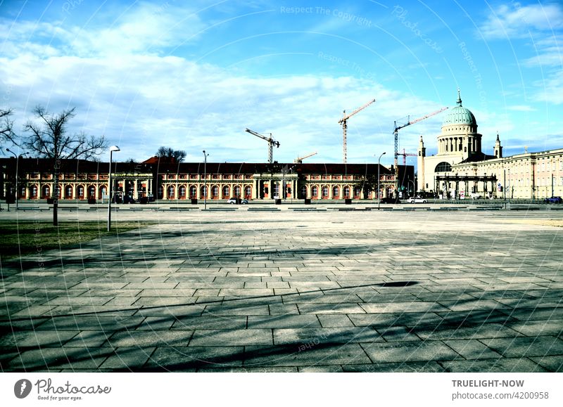 The wide, empty square with a small tree and fine shadows directs the view to the Potsdamer Film Museum, once a coach house, today a protected monument like the church St.Nikolai in the background while at least 5 construction cranes are shaping the future in front of the blue sky.