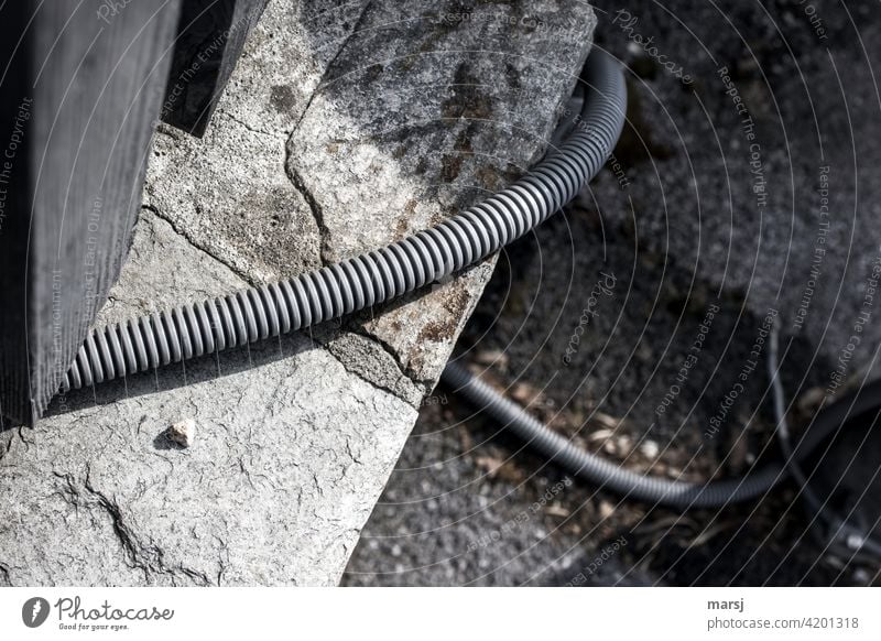 Flex hose for electric cables winding over a stone wall. flexible Protective hose plastic stones Stone wall squirm grooved clear