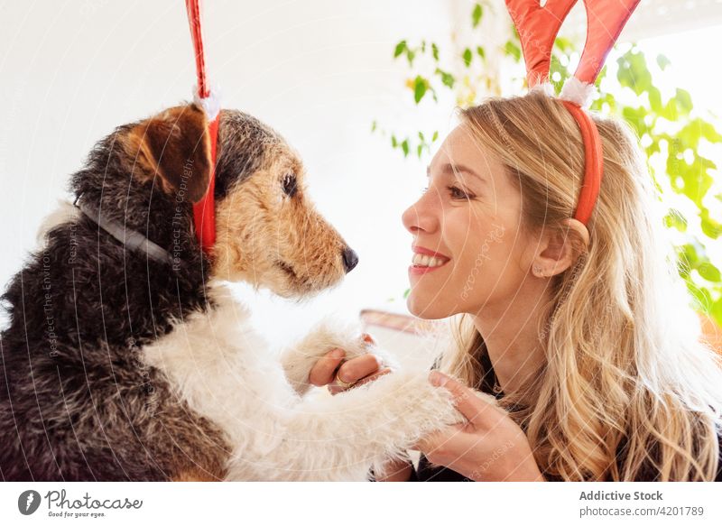 Content woman embracing Fox Terrier in house embrace fox terrier dog toothy smile canine decorative horn portrait deer cuddle mammal pet bright domestic muzzle