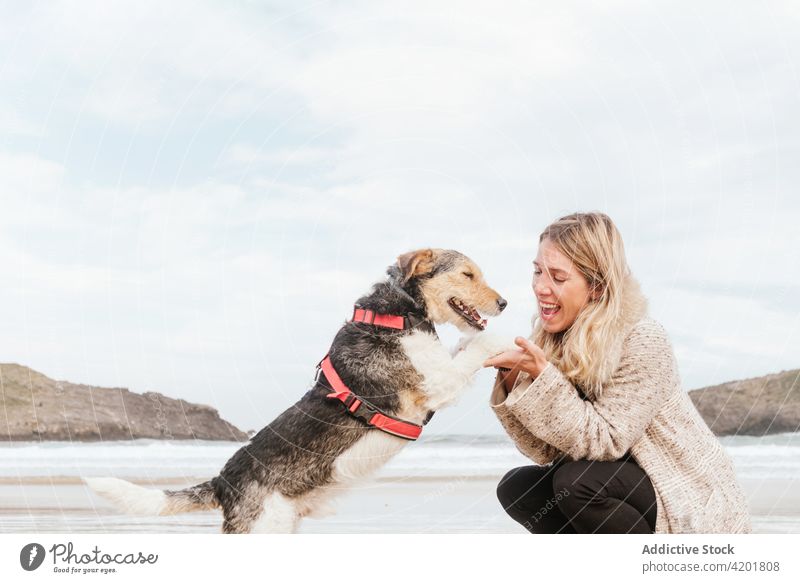 Woman holding paws of fox Terrier against ocean woman fox terrier dog canine pet love portrait stroke cheerful bonding smile affection spare time happy weekend