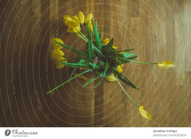 yellow tulip bouquet top view on wooden table for mother day Gift romantic Plant Green Tulip Spring Bouquet pretty Flower Blossom Valentine's Day