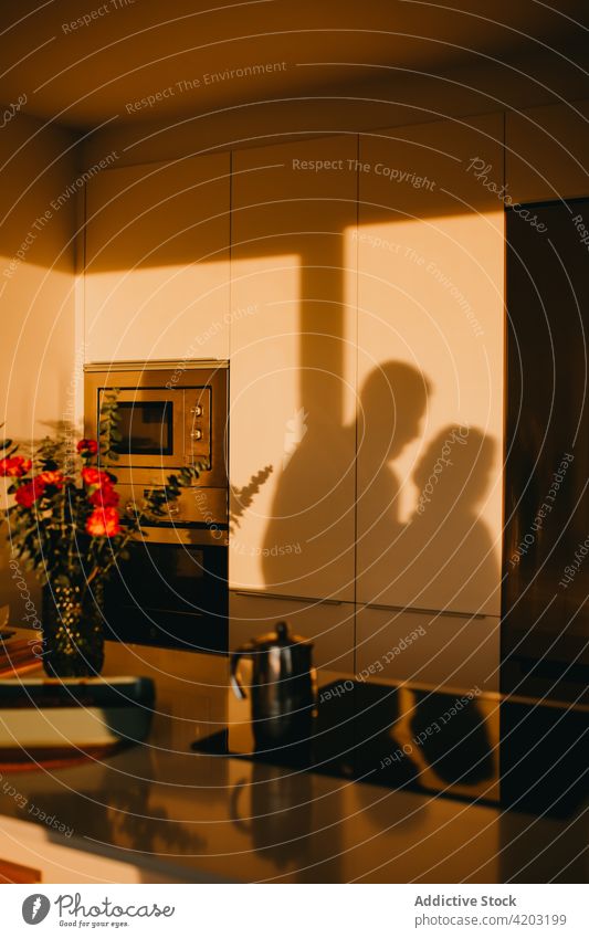 Shadow of couple standing in kitchen in evening sunlight shadow twilight love cozy romantic home sunset together dusk relationship house bonding fondness shade