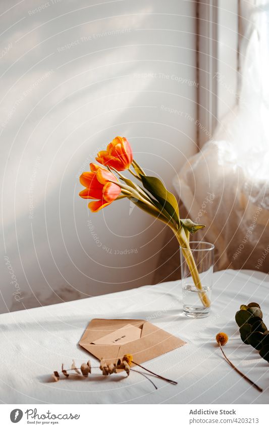 Fresh flowers in glass on table with envelope tulip fresh letter bunch bud petal bloom tablecloth water blossom plant open floral natural vase message gift leaf
