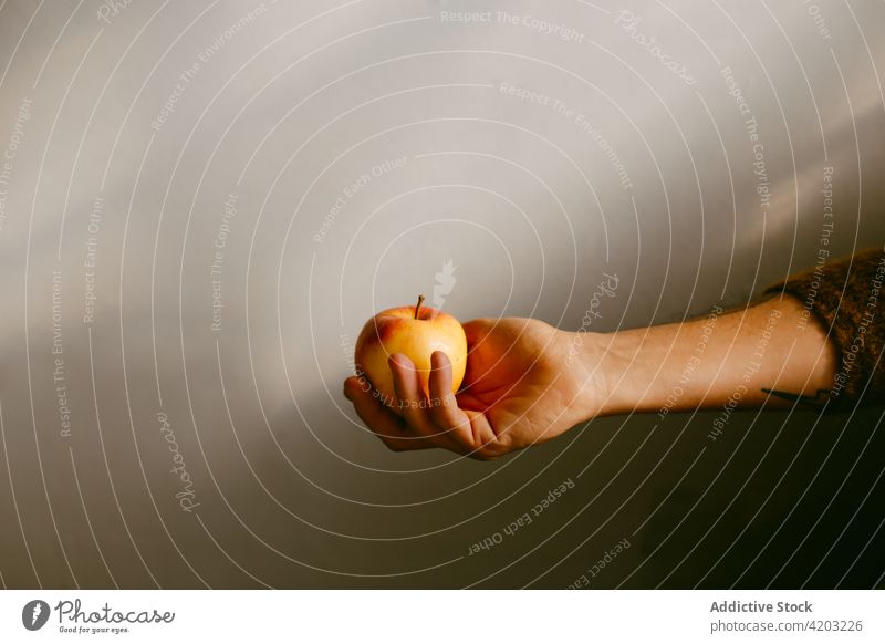 Unrecognizable person holding ripe apple on gray background fly food delicious natural vitamin yummy nutrition celebrate tasty fresh edible whole raw hand