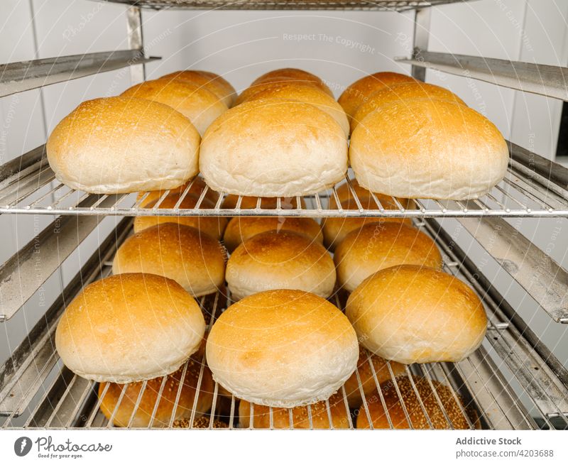 Delicious fresh bread on racks in bakery delicious natural crust product aroma row appetizing ornament round shape similar workspace tasty scent wheat baked
