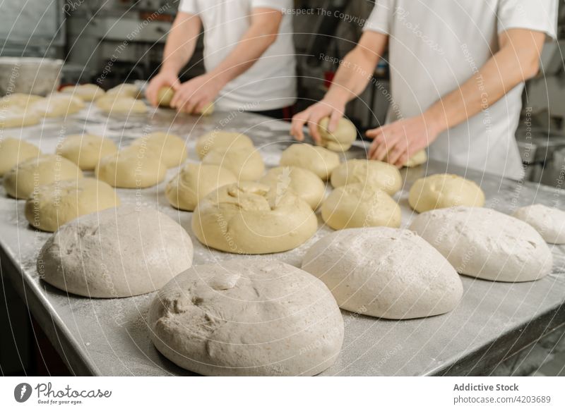 Anonymous bakers preparing bread at table in kitchen prepare form dough professional colleague natural men bakery ethnic coworker bowl flour attentive uncooked