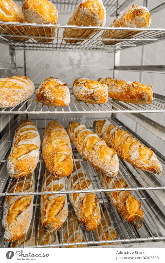 Delicious fresh bread on racks in bakery delicious natural crust product aroma row appetizing ornament oval shape similar workspace tasty scent wheat baked