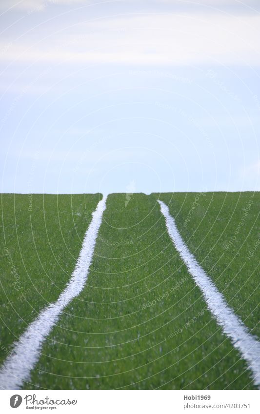 Tracks on a field converge on the horizon Horizon Sky Vanishing point at the same time Parallel Side by side lane acre Tractor filth Earth trace Driving Ground