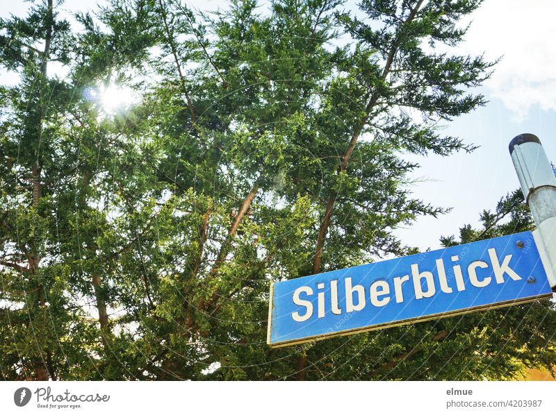 blue street sign with white writing " Silberblick " on an iron bar in front of high conifers through which the sun shines / street name / live Squint off Simple