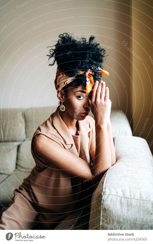Serene black woman sitting on sofa and looking at camera home afro hairstyle domestic serene lean on hand calm female ethnic african american couch hairdo
