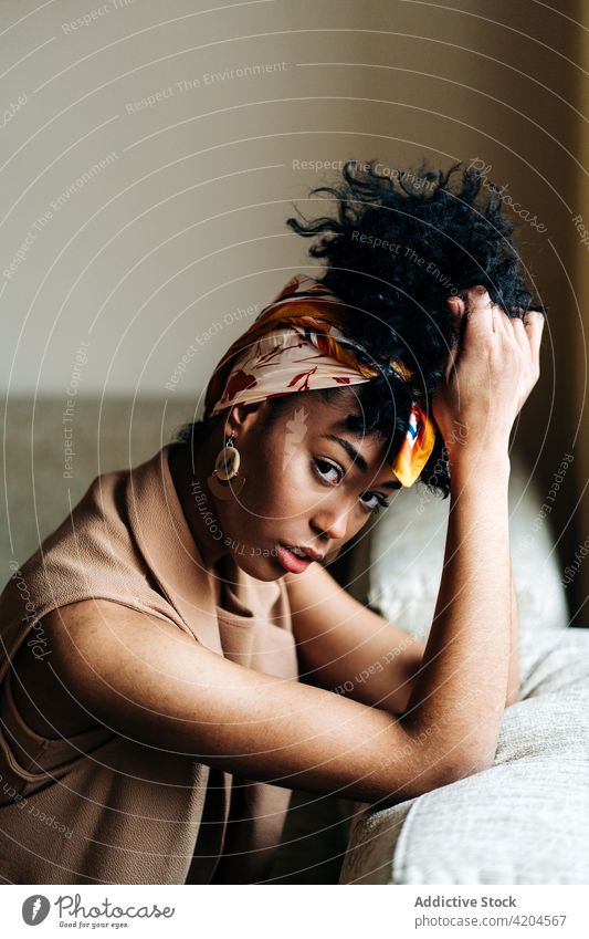 Serene black woman sitting on sofa and looking at camera home afro hairstyle domestic serene lean on hand calm female ethnic african american couch hairdo