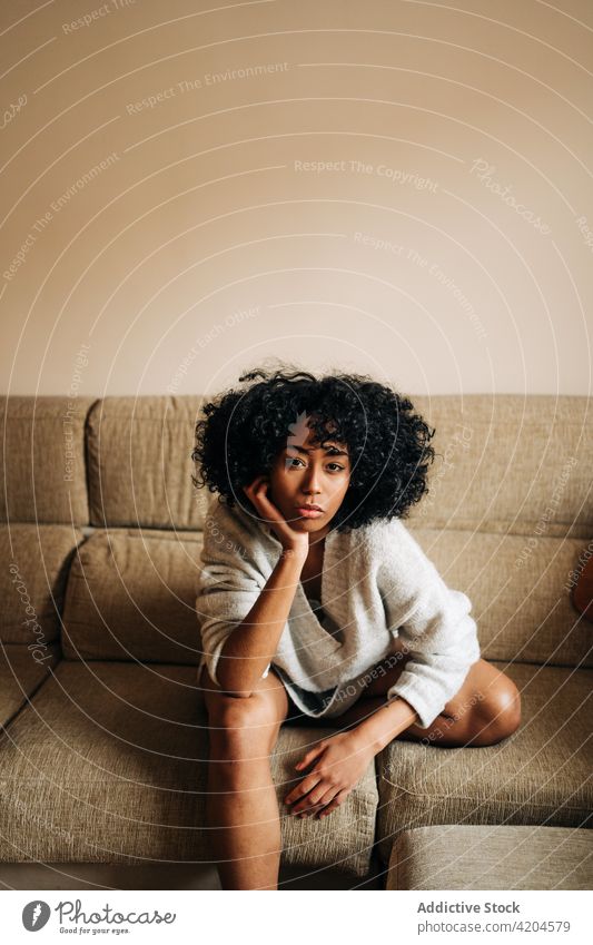Serene black woman sitting on sofa and looking at camera home afro hairstyle domestic serene lean on hand weekend calm female ethnic african american couch
