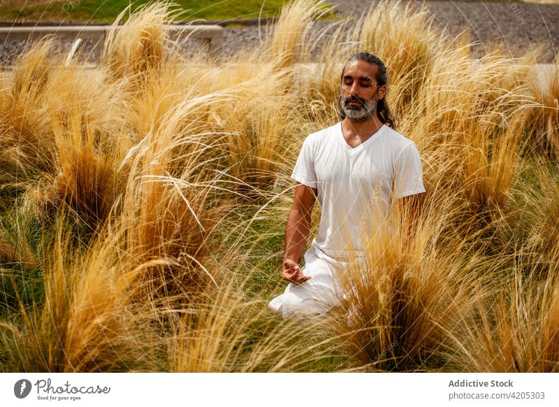 Ethnic man breathing among grass while practicing yoga meditate harmony spirit stress relief zen mudra practice healthy lifestyle wellness gesture knowledge