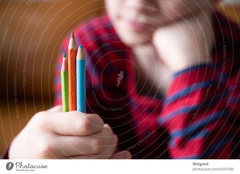 homeschooled child Homeschooling Child Lessons pens Elementary school colors three Decide Education Study