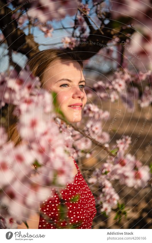 Blond woman with long hair posing under a flowering almond tree park blossom spring nature beautiful blonde blooming female girl young natural portrait beauty