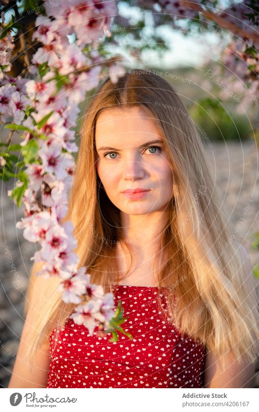 Blond woman with long hair posing under a flowering almond tree and looking at camera park blossom spring nature beautiful blonde blooming female girl young