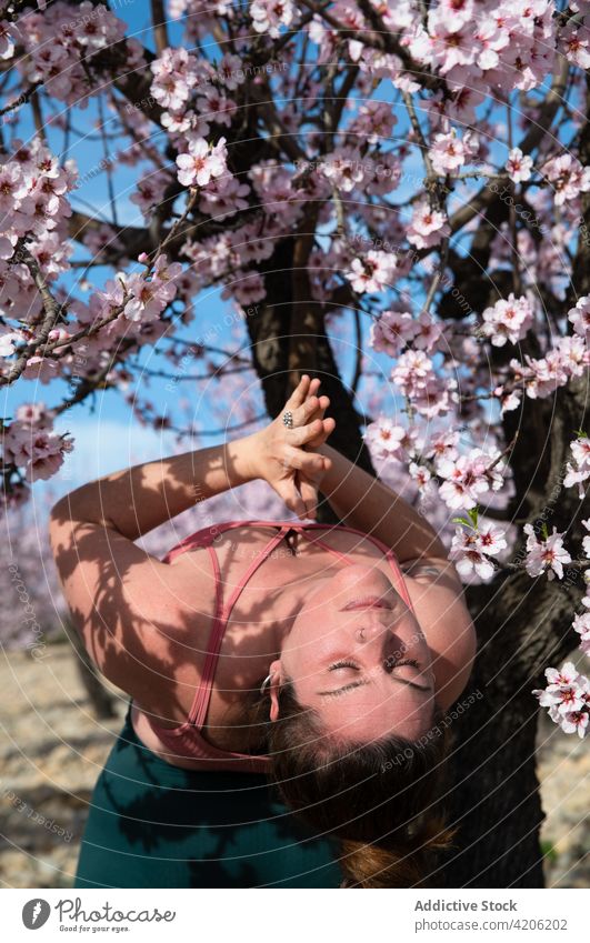 Woman doing yoga in Eagle pose in blooming garden woman practice spring blossom eagle pose balance harmony curve almond tree sportswear healthy wellbeing nature