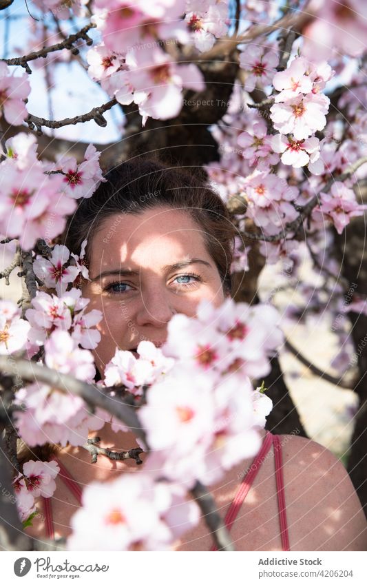 Young woman standing under blooming tree flower pink almond spring blossom garden portrait branch nature beauty aroma human face harmony female smile delicate