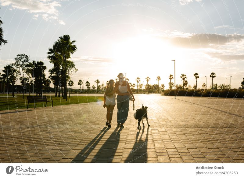 Mother and daughter walking with dog at sunset mother together border collie summer stroll enjoy teenage woman girl female pathway park animal sundown sky