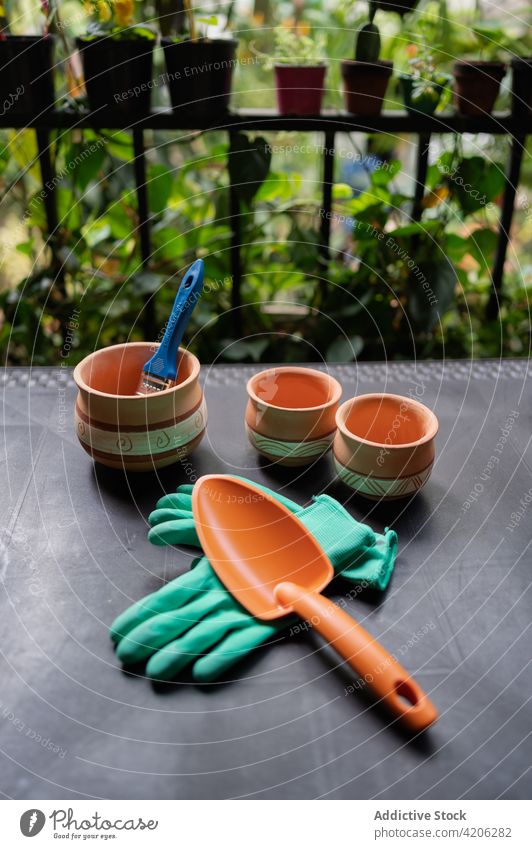 Gardening tools and pots on table in hothouse garden greenhouse collection glove shovel ceramic organic flora plant horticulture botany cultivate glasshouse