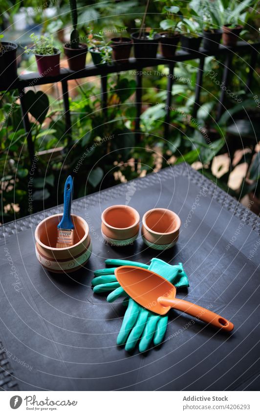 Gardening tools and pots on table in hothouse garden greenhouse collection glove shovel ceramic organic flora plant horticulture botany cultivate glasshouse