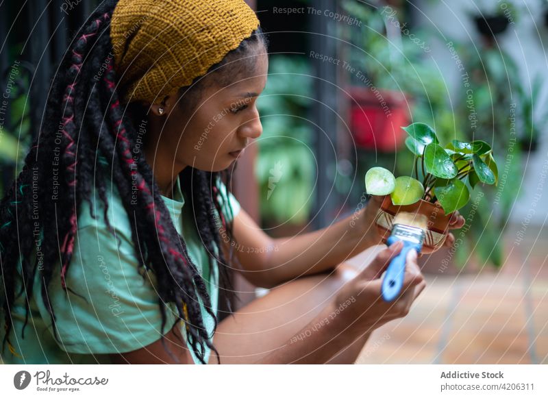 Black woman painting pot with flower in glasshouse gardener greenhouse hothouse horticulture ceramic clay female ethnic black african american kalanchoe blossom