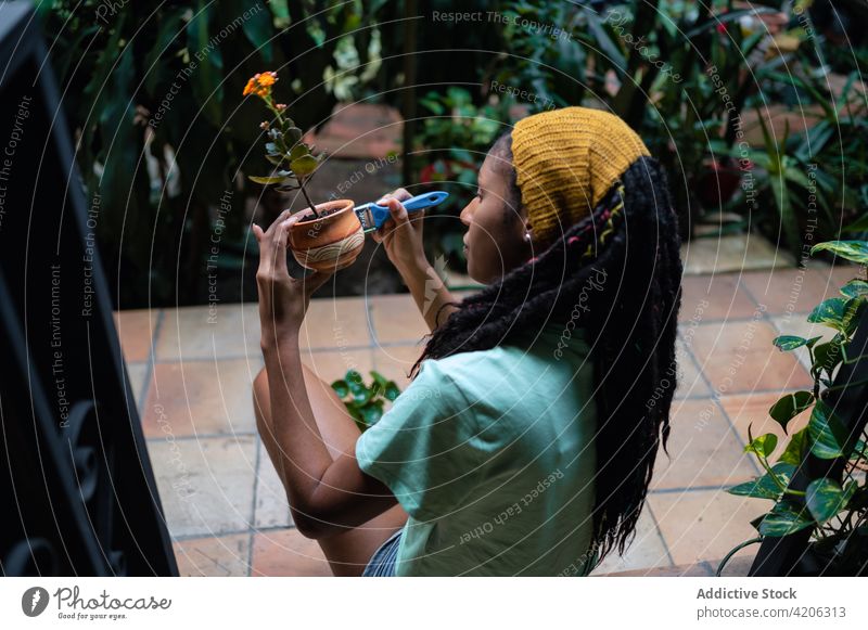 Black woman painting pot with flower in glasshouse gardener greenhouse hothouse horticulture ceramic clay female ethnic black african american kalanchoe blossom