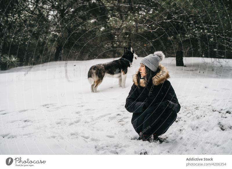 Woman with dog in winter forest woman husky hug happy owner pet female young puppy obedient snow warm clothes loyal crouch animal tree embrace woodland cute