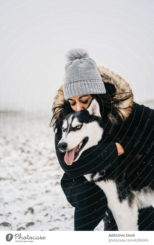 Female embracing with husky on winter meadow woman field pet walk owner petting countryside dog female obedient snow daytime warm clothes loyal gray cloudless