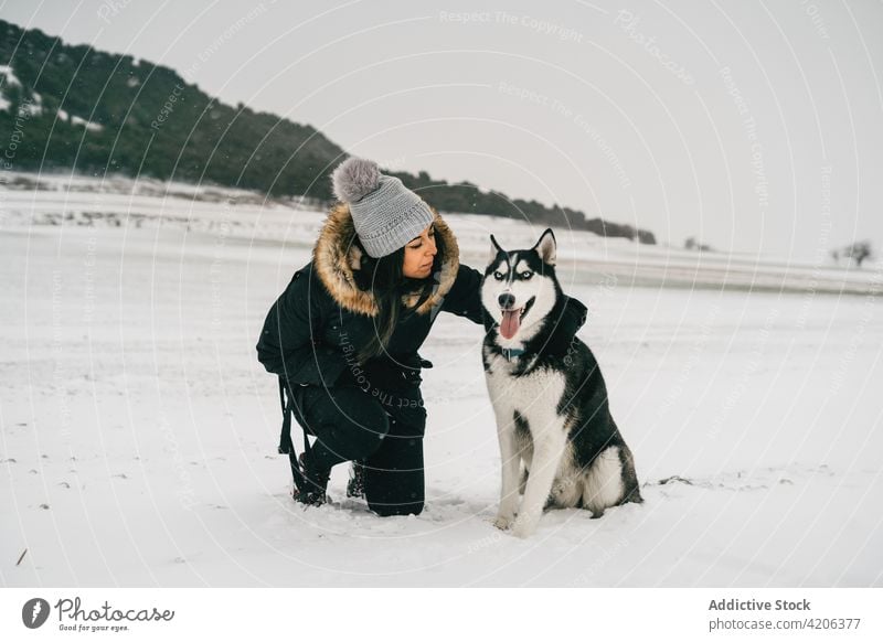 Woman hugging dog in winter forest woman husky happy owner pet female young puppy obedient snow warm clothes loyal crouch animal tree embrace woodland cute