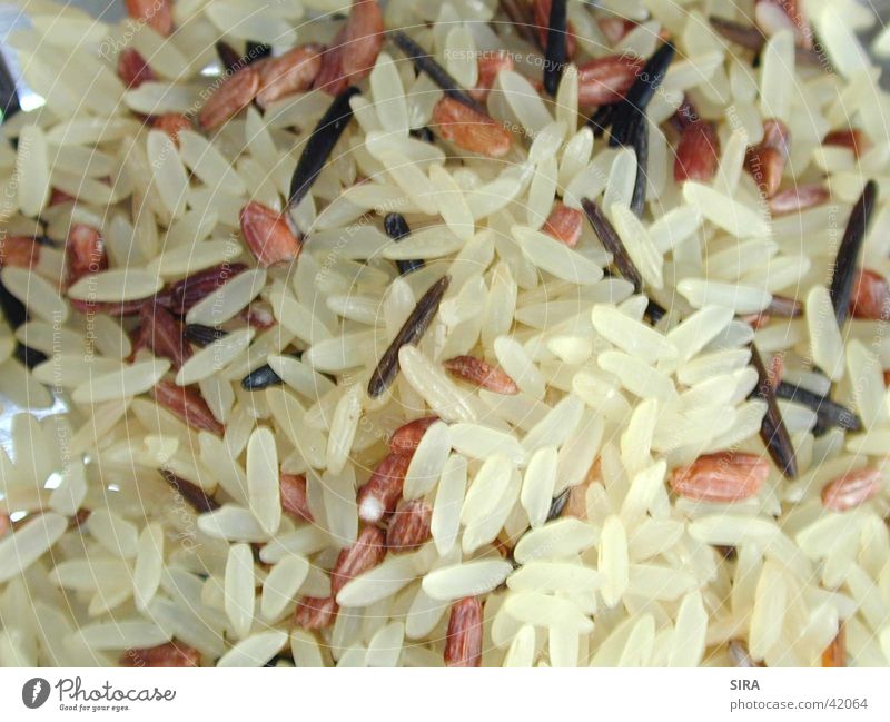 tricolour Nutrition Rice Grain