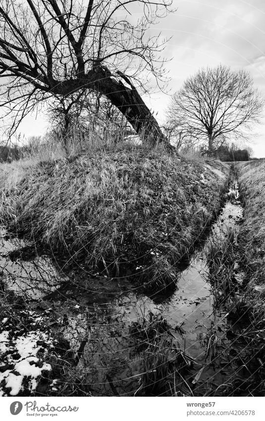 The whey ditch - a small watercourse near the Klusberg mountains confluence inflow Dig lowland Meadow Grass Exterior shot Landscape Deserted Nature Day Sky Tree