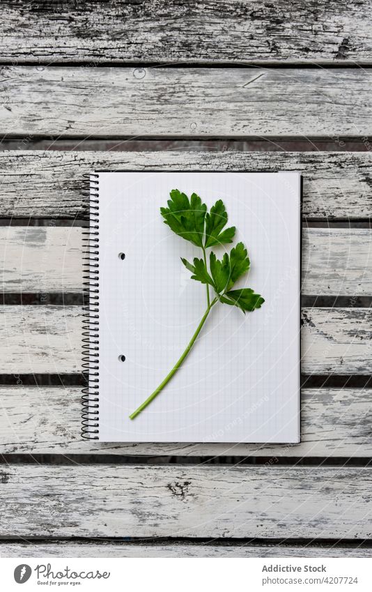 Sprig of parsley on blank notebook on table herb fresh greenery notepad healthy food sprig desk paper page wooden plant natural minimal organic simple tasty