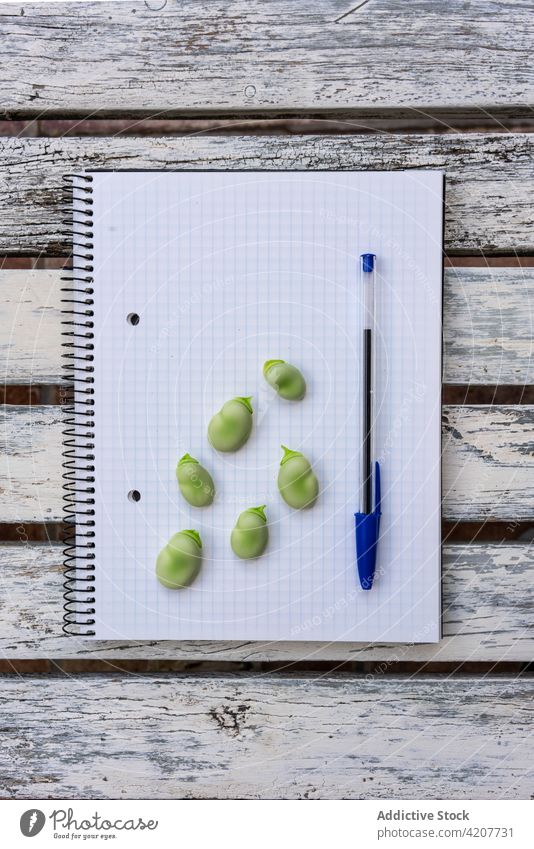 Green beans on notebook on table fresh raw notepad food healthy green natural desk paper page blank wooden nutrition diet greenery minimal organic simple