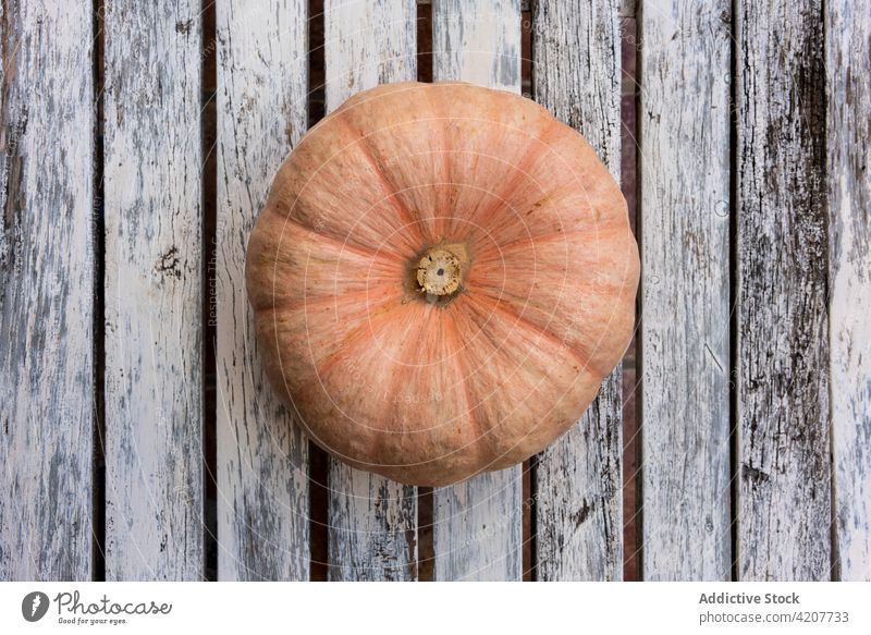 Ripe pumpkin on wooden table vegetable harvest squash organic rustic natural countryside food raw ingredient healthy farm vitamin rural plant meal healthy food