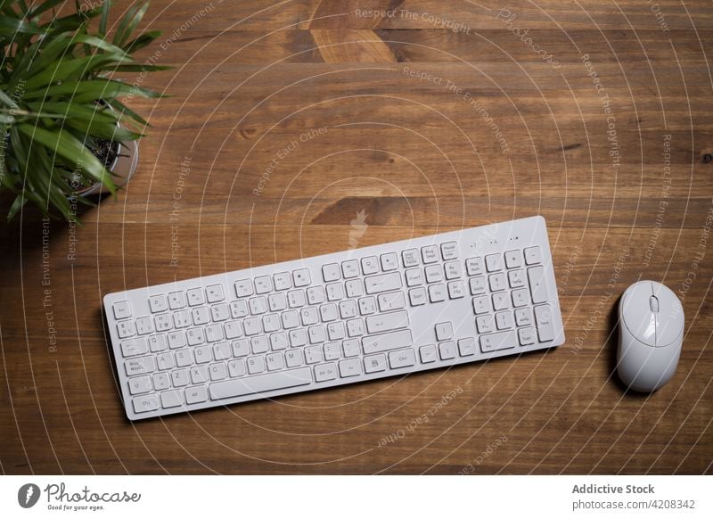 Keyboard with mouse arranged on desk with potted plant keyboard office workplace electronic job digital decoration houseplant modern wooden table workspace