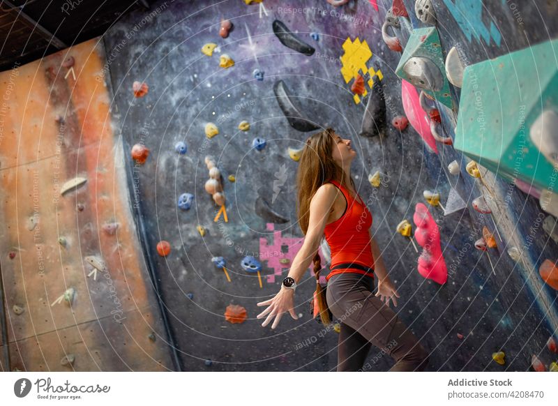 Active woman clambering wall in gym sportswoman bouldering focus extreme concentrate strength training strong mountaineer active sporty climber determine