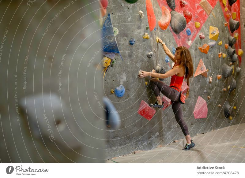 Active woman clambering wall in gym sportswoman bouldering focus extreme concentrate strength training strong mountaineer active sporty climber determine